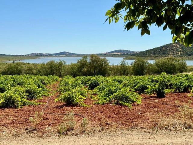 Chalet en venta en Valdepeñas, Carretera de Cozar photo 0