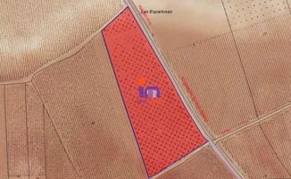 Chalet en venta en Membrilla, Membrilla photo 0