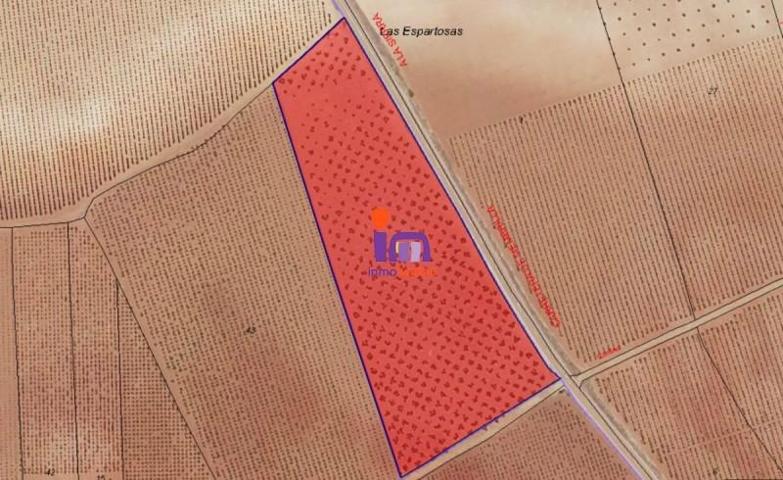 Chalet en venta en Membrilla, Membrilla photo 0