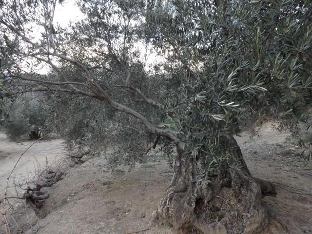 Chalet en venta en Cambil photo 0