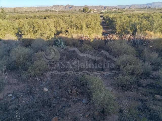Terreno en venta en Huércal-Overa, El Saltador photo 0