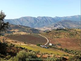 Chalet en venta en Algodonales, Dehesa Vieja photo 0