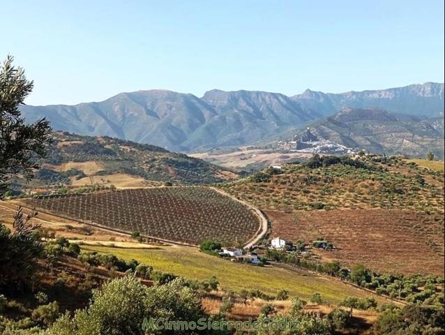 Chalet en venta en Algodonales, Dehesa Vieja photo 0