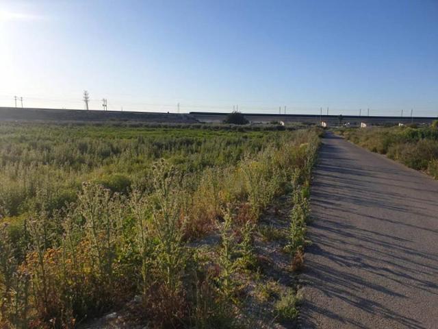 Chalet en venta en Crevillent, Crevillent photo 0