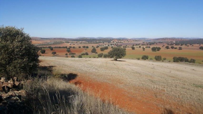Chalet en venta en Torrenueva, Torrenueva photo 0