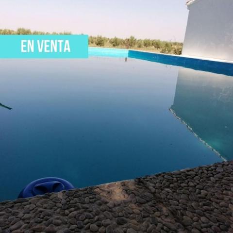 Terreno en venta en Argamasilla de Calatrava, ARGAMASILLA CVA. photo 0