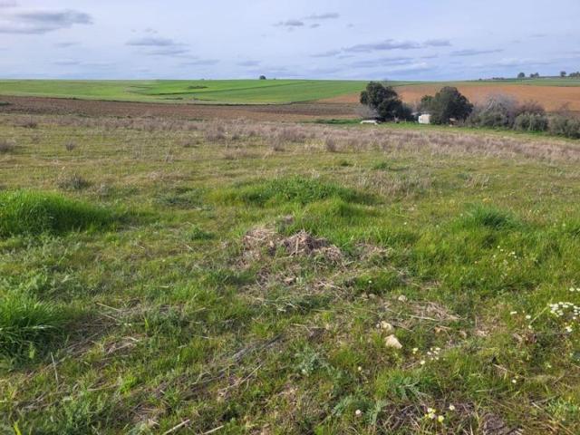 Chalet en venta en Azuaga, Azuaga photo 0