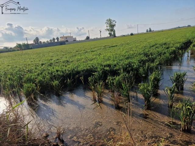 Chalet en venta en Deltebre, Deltebre photo 0