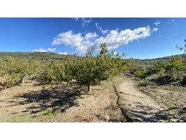 Chalet en venta en Barrado photo 0