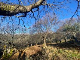 Chalet en venta en Faraján photo 0