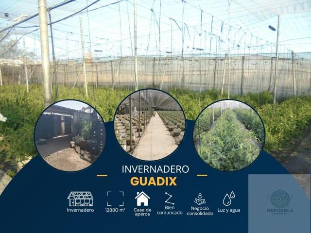 Terreno en venta en Guadix photo 0