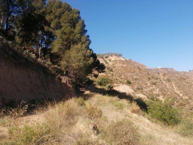 Terreno en venta en Piñar, Pinos del Valle photo 0