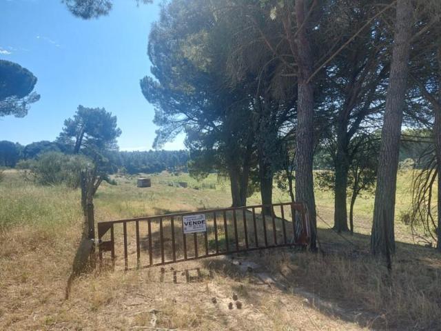 Chalet en venta en Bernardos photo 0