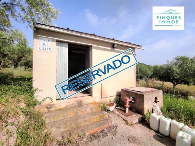 Chalet en venta en Amposta, Amposta photo 0