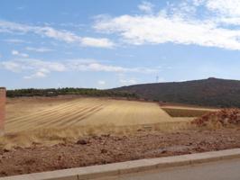 Terreno en venta en San Carlos del Valle, San Carlos Del Valle photo 0