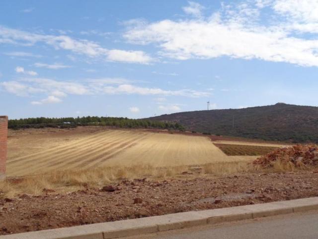 Terreno en venta en San Carlos del Valle, San Carlos Del Valle photo 0