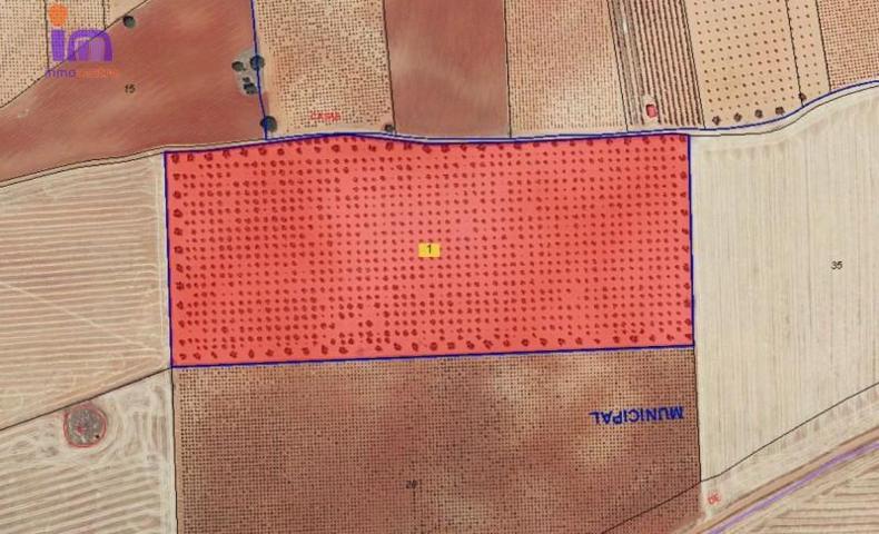 Chalet en venta en Alhambra, Pozo de la serna photo 0