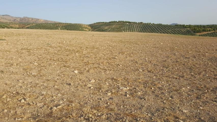 Chalet en venta en Quesada, Rustica - Sotana photo 0