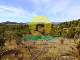 Terreno en venta en Casinos, Casinos photo 0