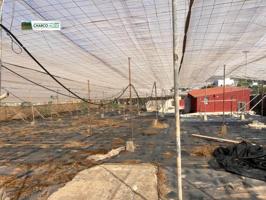 Chalet en venta en La Aldea de San Nicolás, Aldea de San Nicolas photo 0