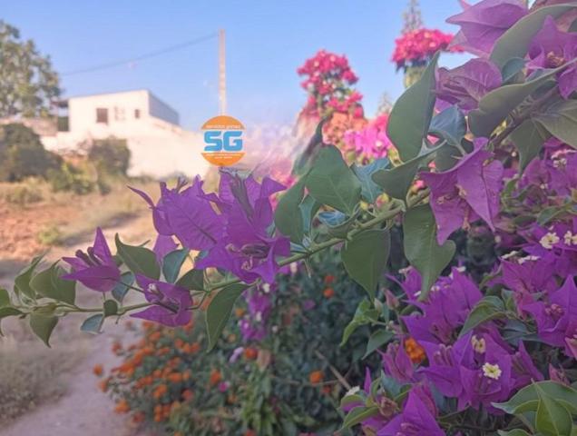 Chalet en venta en Posadas, Posadas photo 0