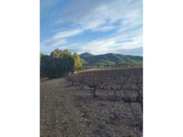 Terreno en venta en Bullas photo 0