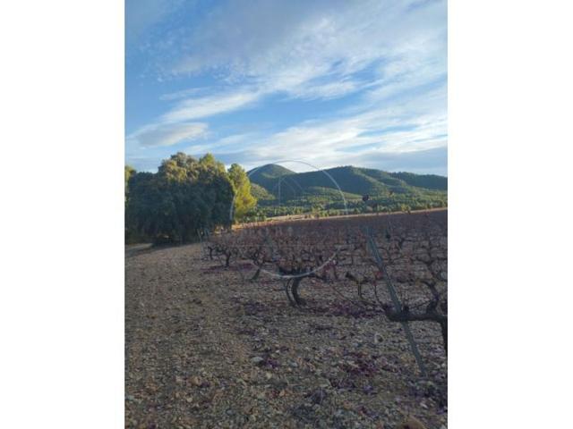 Terreno en venta en Bullas photo 0