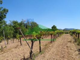 Terreno en venta en Falset photo 0