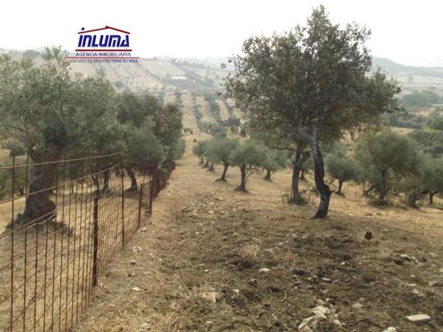 Chalet en venta en Jerez de los Caballeros, Jerez De Los Caballeros photo 0