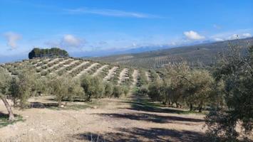 Chalet en venta en Quesada, Rustica - Brunel photo 0