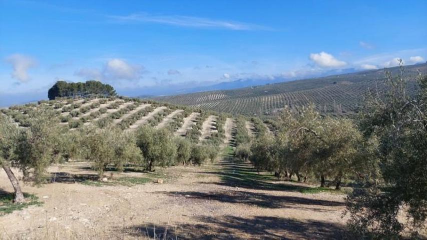 Chalet en venta en Quesada, Rustica - Brunel photo 0