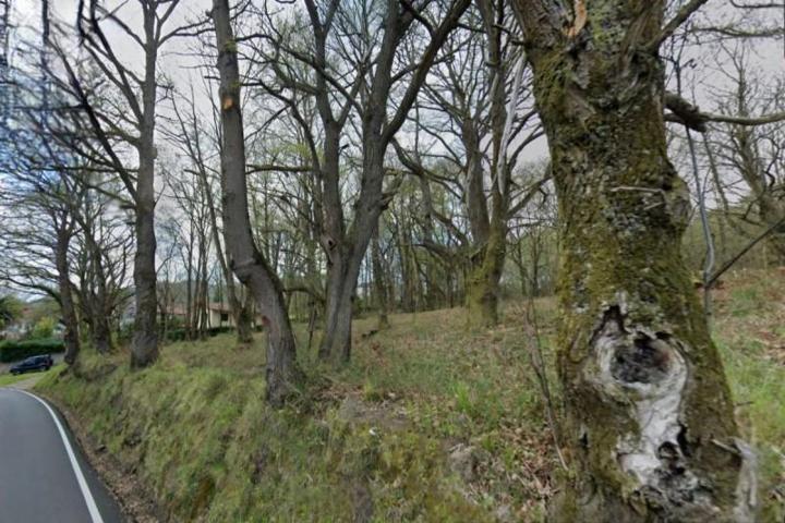 Terreno en venta en Oviedo, San Claudio photo 0