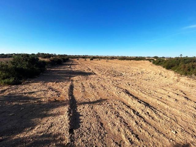 Chalet en venta en Crevillent, Realengo photo 0