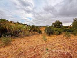 Terreno en venta en Guaro photo 0