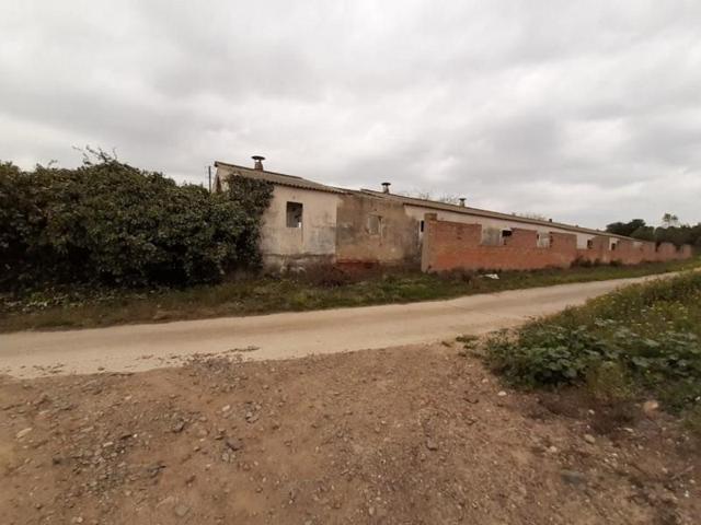 Chalet en venta en Riudoms photo 0