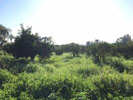 Chalet en venta en Alhaurín de la Torre, Alhaurin De La Torre photo 0