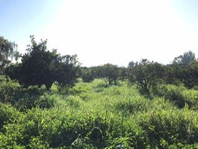 Chalet en venta en Alhaurín de la Torre, Alhaurin De La Torre photo 0