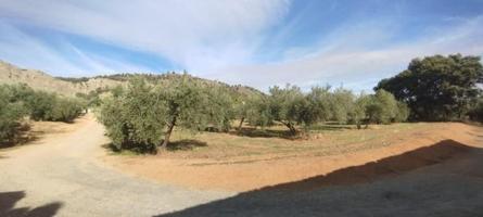 Terreno en venta en Albolote, Vega de granada zona noroeste photo 0