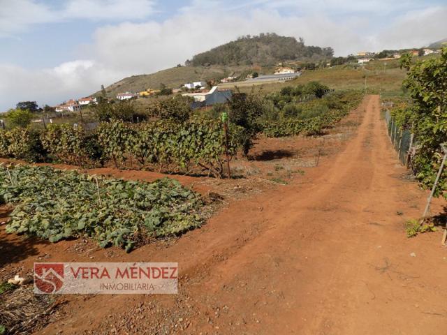 Chalet en venta en Tacoronte, La Caridad photo 0