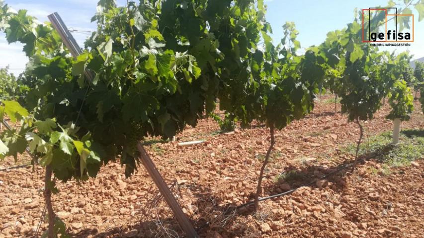 Terreno en venta en Valdepeñas, Valdepenas photo 0