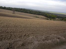 Chalet en venta en Vejer de la Frontera, Abejoruco photo 0