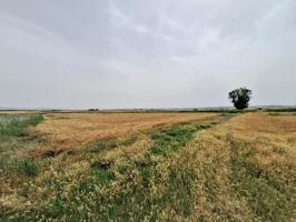 Terreno en venta en Altorricon, Altorricon photo 0