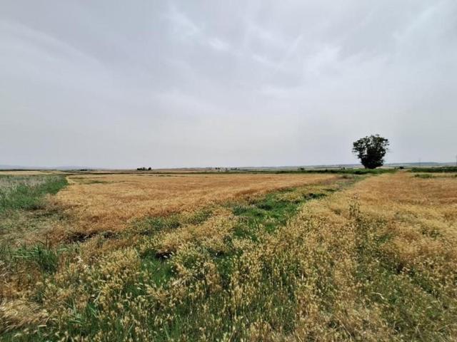 Terreno en venta en Altorricon, Altorricon photo 0