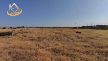 Chalet en venta en San Silvestre de Guzmán, San Silvestre De Guzman photo 0