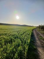 Chalet en venta en Peal de Becerro, Peal De Becerro photo 0