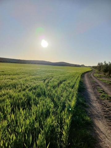 Chalet en venta en Peal de Becerro, Peal De Becerro photo 0