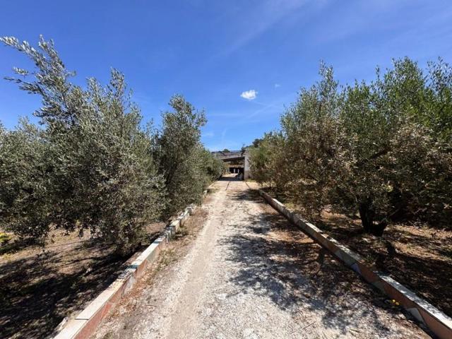 Casa con terreno en venta en Benigànim photo 0