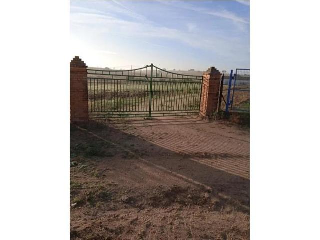 Terreno en venta en Dos Torres photo 0