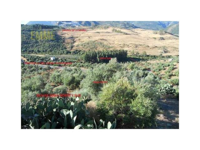 Chalet en venta en Algodonales photo 0