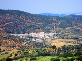 Casa en venta en Algodonales, La Muela photo 0